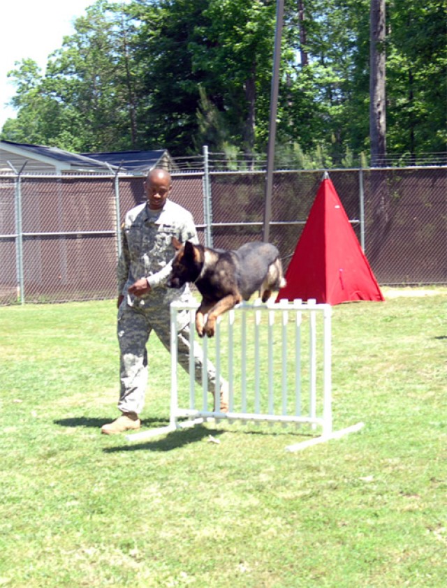 Fort Eustis K-9s are top dogs at competition