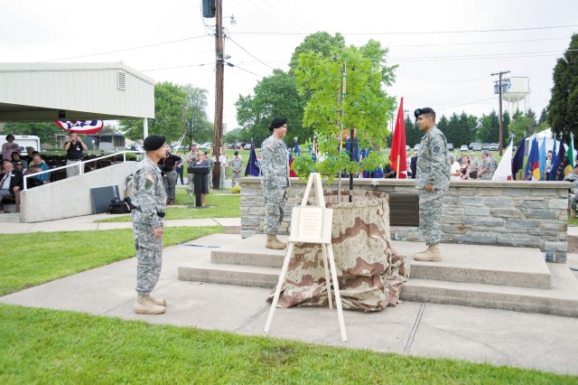 APG dedicates tree to Gold Star Families