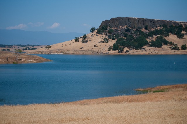 Black Butte Lake gives at-risk species a place to nest