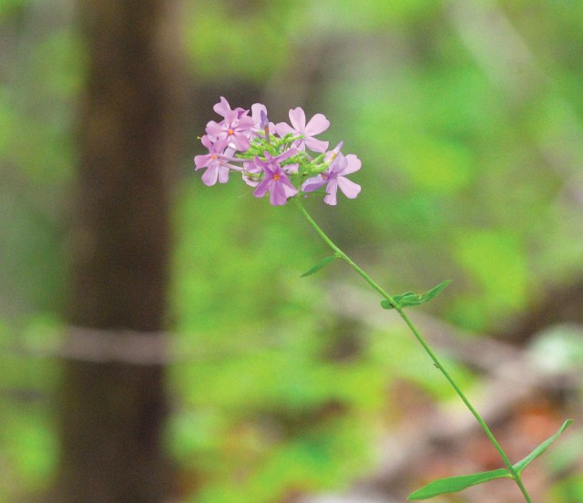 Gorgeous gorges: State park offers views of canyon walls, floors