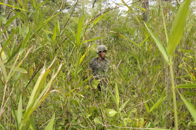 Cav trooper sneaks through the grass