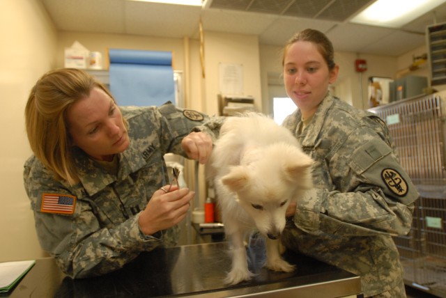 Post veterinarians support Army pets