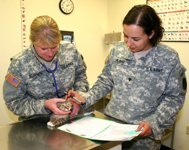 From private practice to West Point-Veterinarian takes on new role