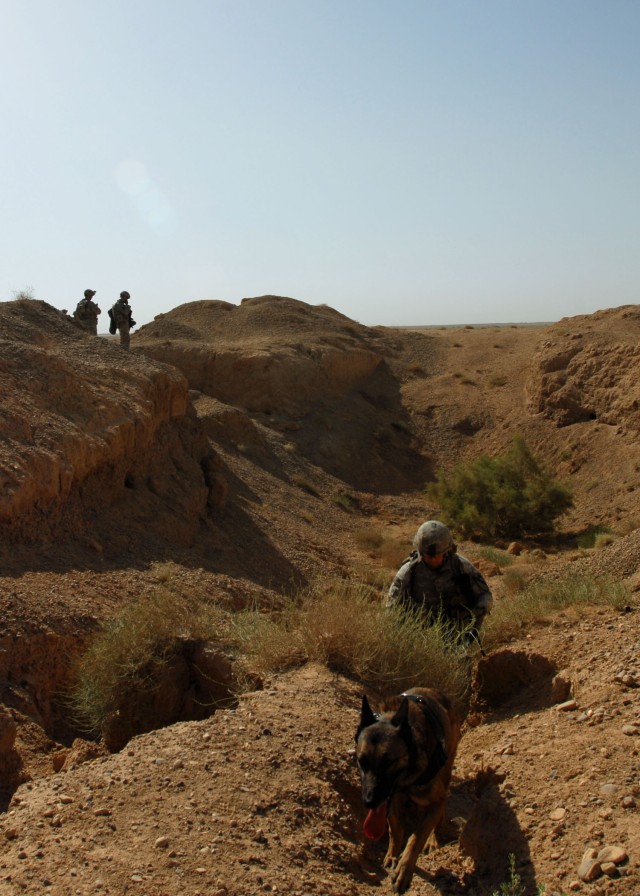 TAJI, Iraq - Sonja, a military working dog, and her handler, Air Force Tech. Sgt. Robert Weigold, with the 732nd Expeditionary Security Forces Squadron, climb out of a gulley in the Iraqi desert near Numbai, northwest of Taji, June 3. The duo...