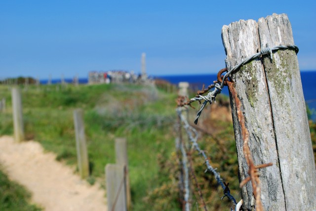 Barbed wire