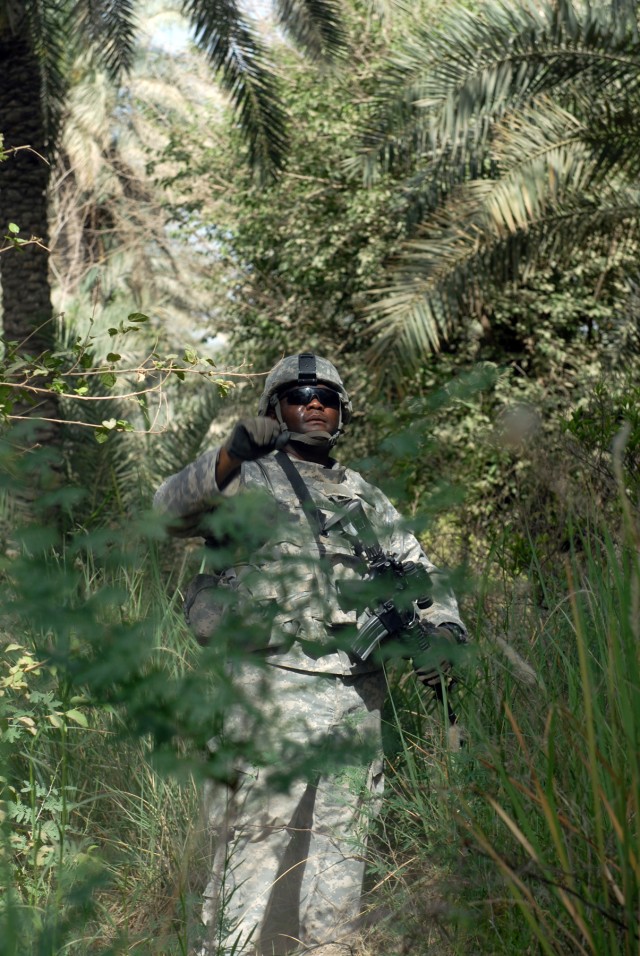 BAGHDAD - Sgt. Steven Kearney of Williamston, N.C., an infantryman assigned to Company A, 252nd Combined Arms Battalion, 30th Heavy Brigade Combat Team, signals to members of his platoon as they sweep a large palm grove outside Joint Security...