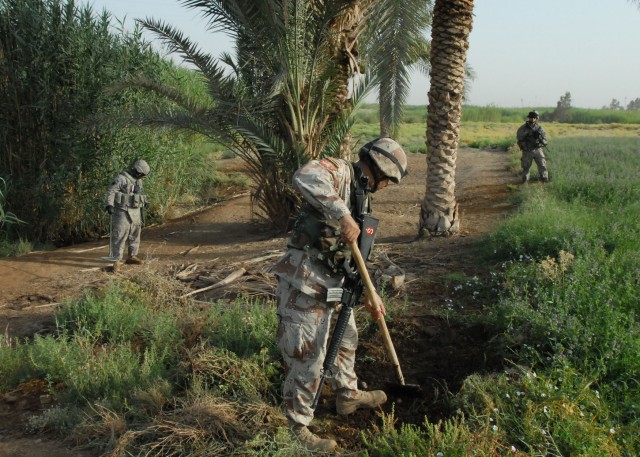 NUBAI, Iraq - An Iraqi Army Soldier digs through some loose dirt June 16 during an IA-led effort to search for weapons caches near Nubai, north of Baghdad. Pennsylvania Army National Guard Soldiers from 1st Battalion, 111th Infantry Regiment, and...