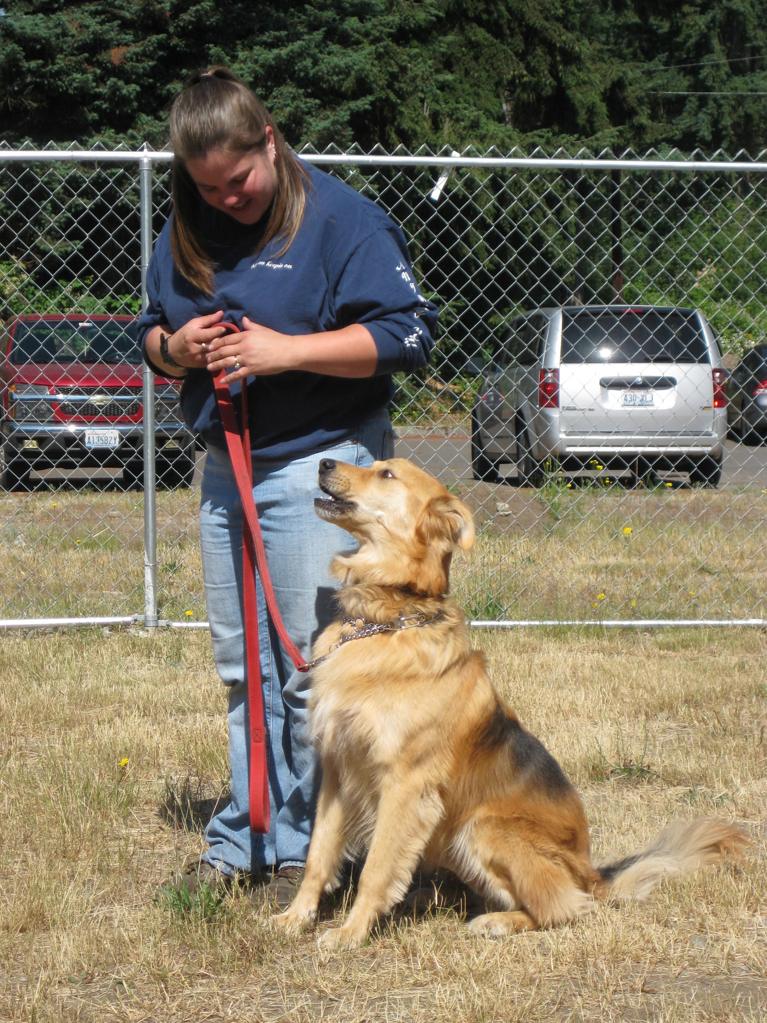 how long is obedience school for dogs