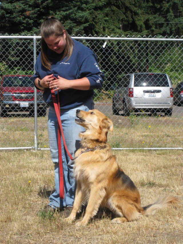 Fort Lewis obedience class