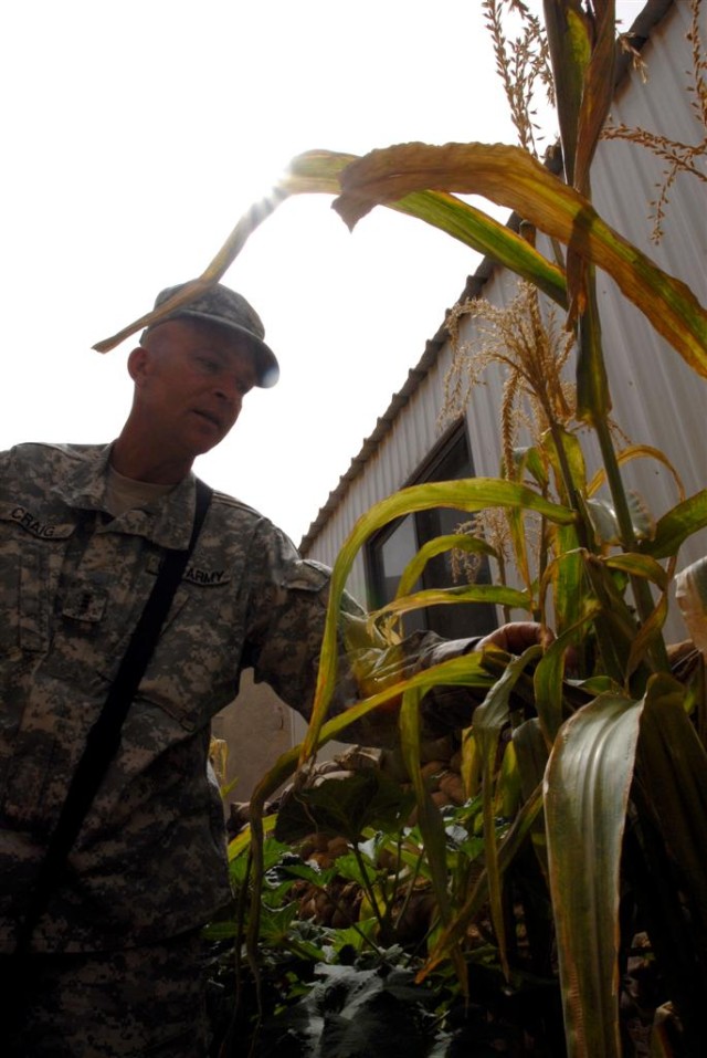 Soldier, civilian united by green thumbs
