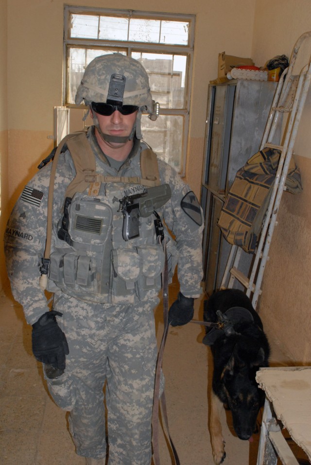 BAGHDAD - Sgt. Nickolas Maynard, from Bangor, Maine, assigned to the Provost Marshall's Office, 1st Cavalry Division, leads his military working dog, Crock, through a room to sweep it for explosives here, July 26. Maynard and Crock cleared a school i...