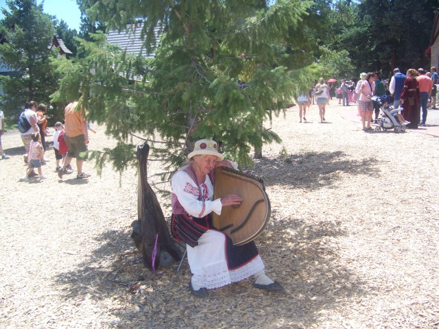 A Medieval Matron