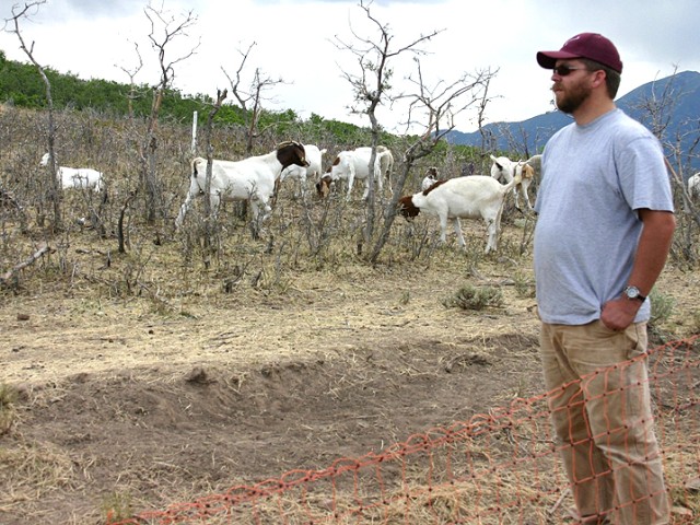Utah Guard Enlists Help From &#039;A Few Good Goats&#039;