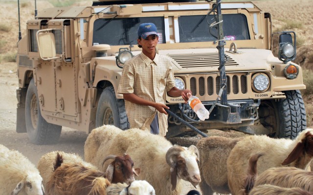 SALMAN PAK, Iraq - A U.S. Army humvee stops on a road in the small town of Salman Pak, Iraq in order for an Iraqi shepherd to guide his flock of goats across the road during a combined combat patrol July 30 in the Ma'dain region, located outside of s...