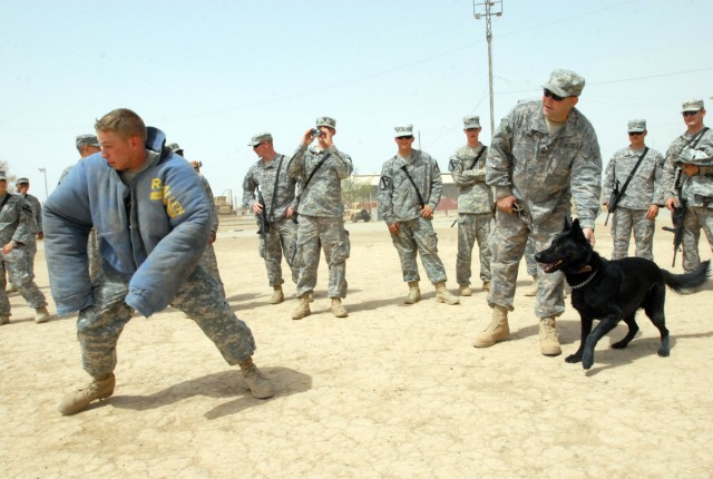 Pvt. Jonathan Davis, from Raiford, Fla., and a mechanic with 15th Brigade Support Battalion, 2nd Brigade Combat Team, 1st Cavalry Division, sprints away from Buli, a military police working dog during a demonstration at Forward Operating Base...