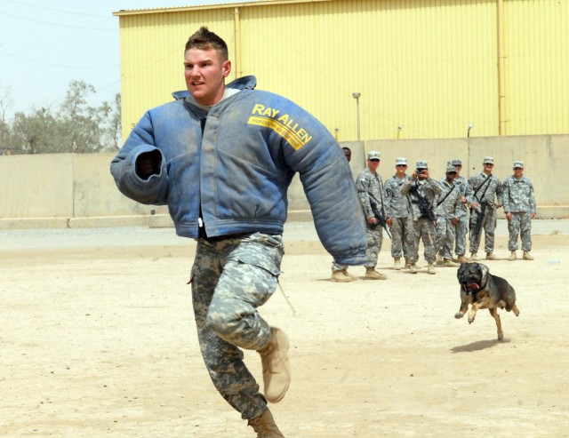 1st Lt. John Reed, a Milton, Del., native and platoon leader with 15th Brigade Support Battalion, 2nd Brigade Combat Team, 1st Cavalry Division, attempts to evade Capka, a military working dog, during a demonstration at Forward Operating Base Warrior...