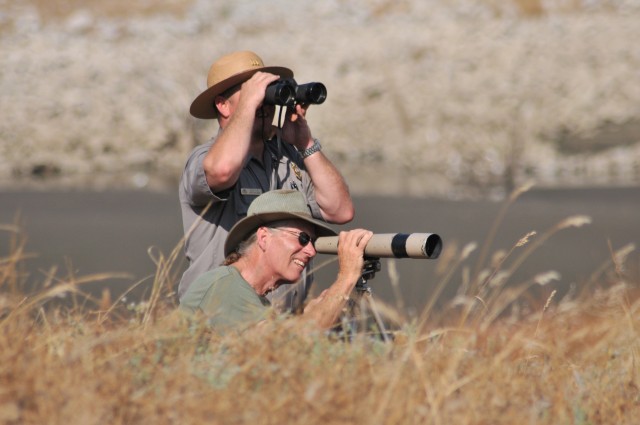Tracking bald eagles at Corps&#039; Eastman Lake