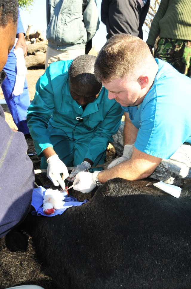 U.S. and Swazi veterinarians team up during MEDFLAG 09