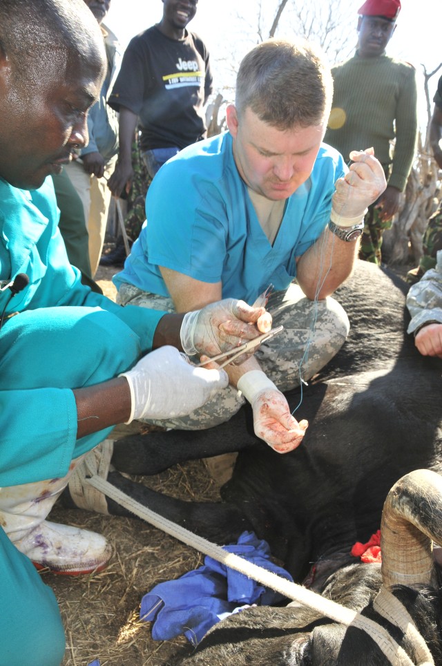 U.S. and Swazi veterinarians team up during MEDFLAG 09