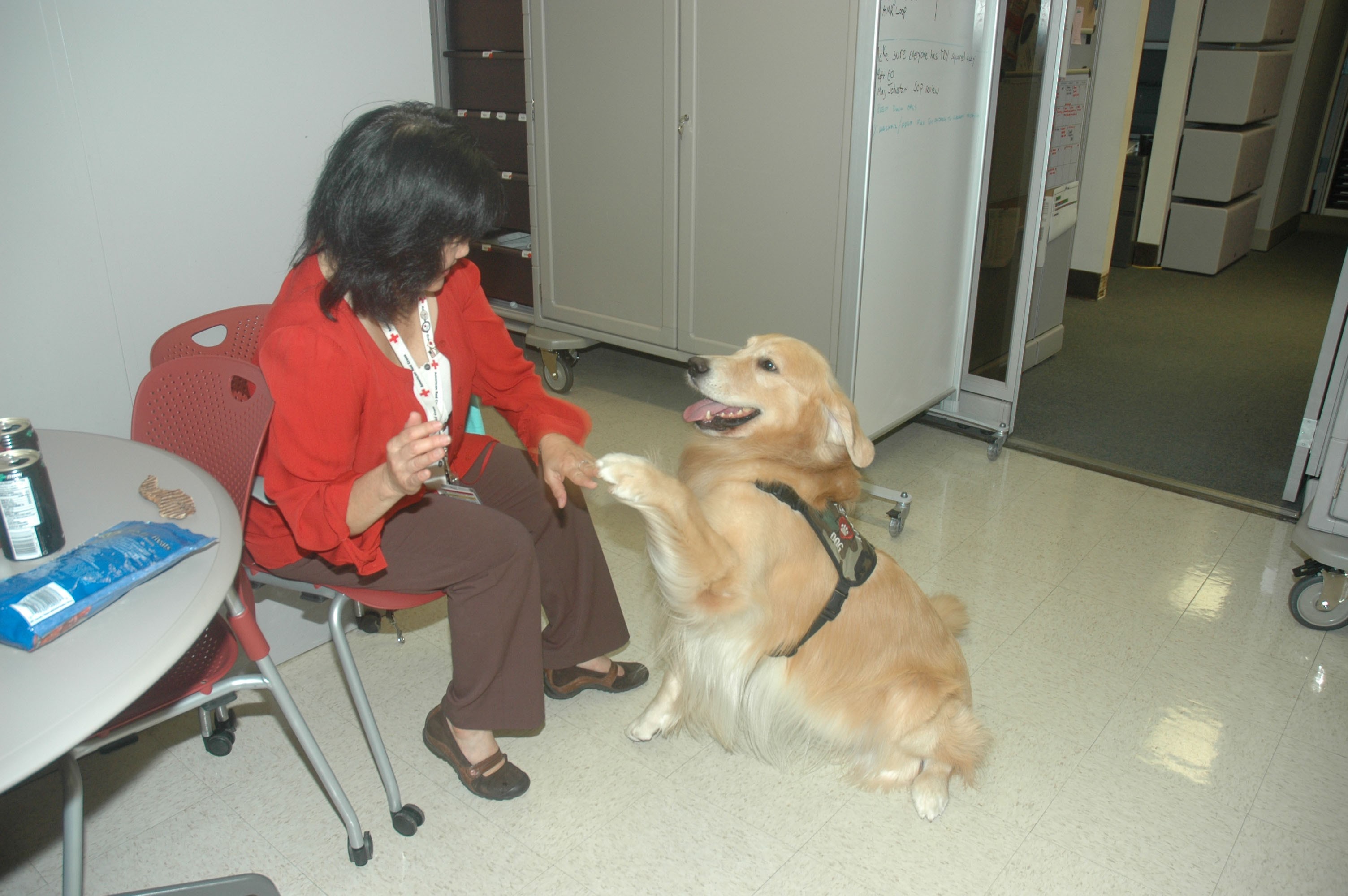 Baxter the Therapy Dog