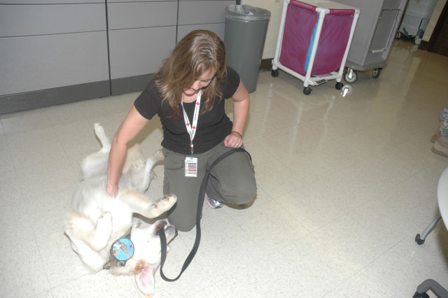 Tripler&#039;s volunteer therapy dogs, handlers make the rounds