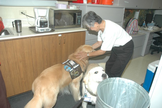 Tripler&#039;s volunteer therapy dogs, handlers make the rounds