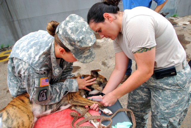 APS Swift Army veterinary team in Liberia