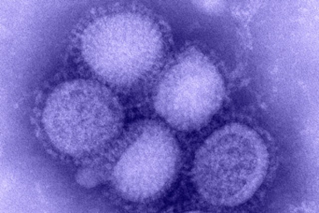Vaccination is your best protection against influenza