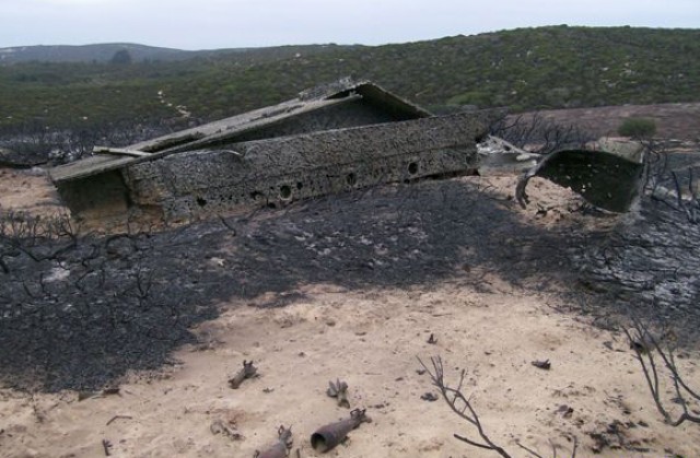 Prescribed Burn removes vegetation