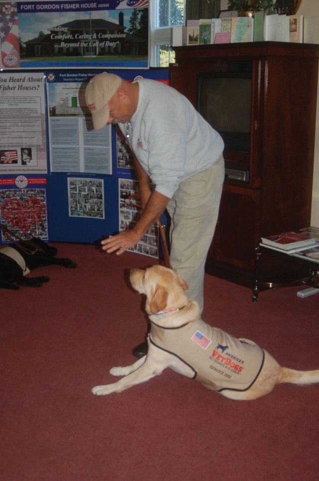 Therapy dogs offer balance