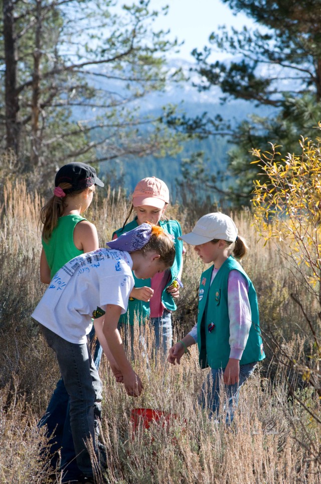 Corps celebrates Truckee River Day with restoration project at Martis Creek Lake