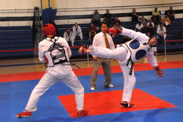 Soldiers compete in Tae Kwon Do tournament for Warrior Country level