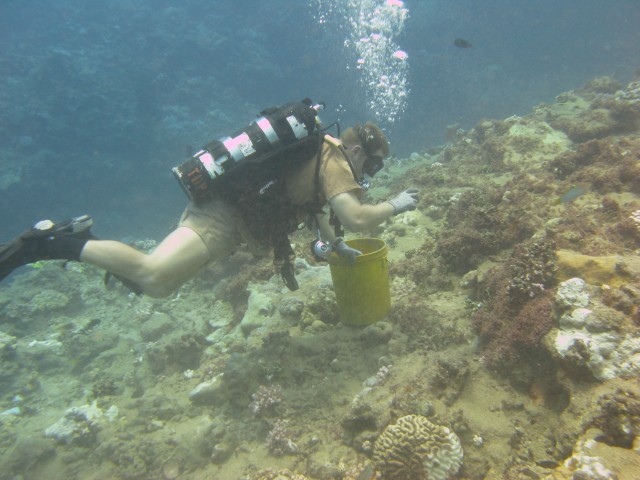 7th EDT helps restore reef off Kwajalein Atoll