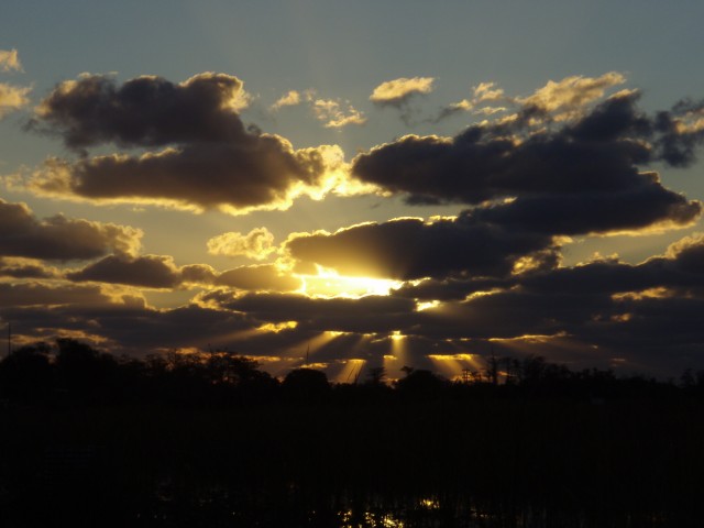 Everglades Sun
