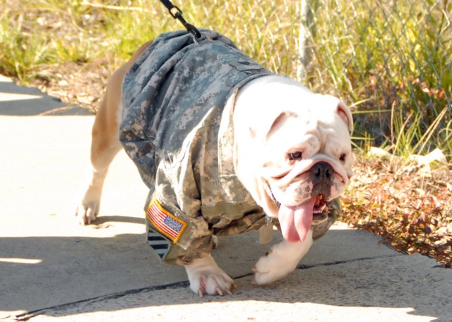 Hinesville Vet Parade