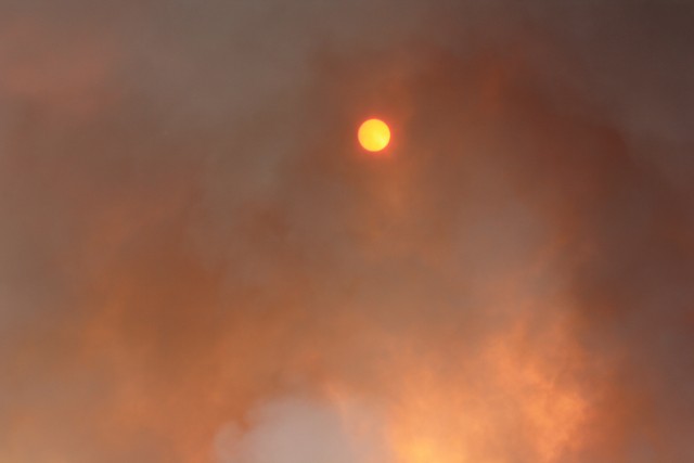 Prescribed Burn at former Fort Ord