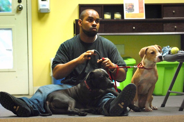 Homeless Dogs Help Healing Troops