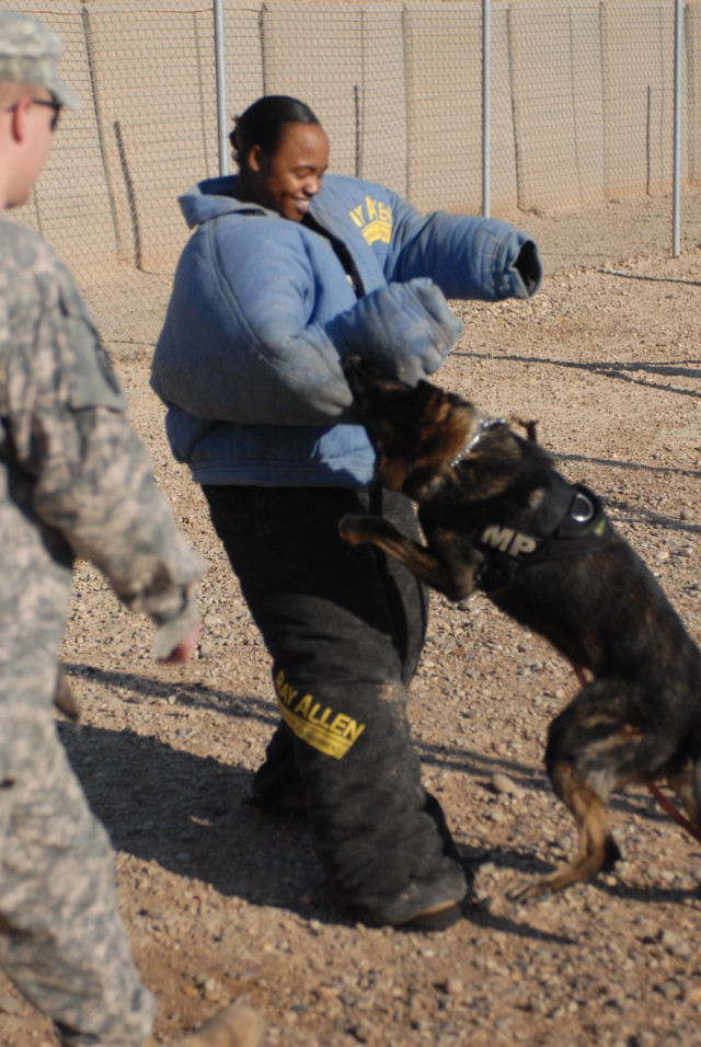 Task Force Marne Canine Soldiers