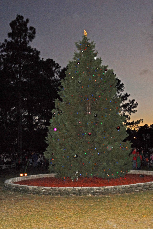 tree