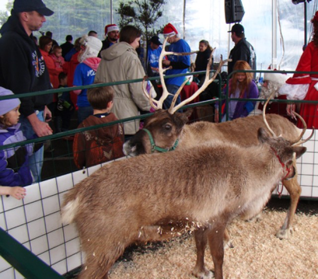 Winter Wonderland 2009