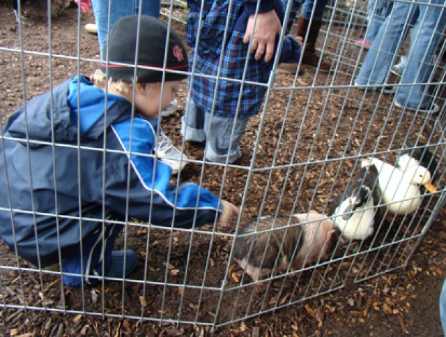 Winter Wonderland 2009
