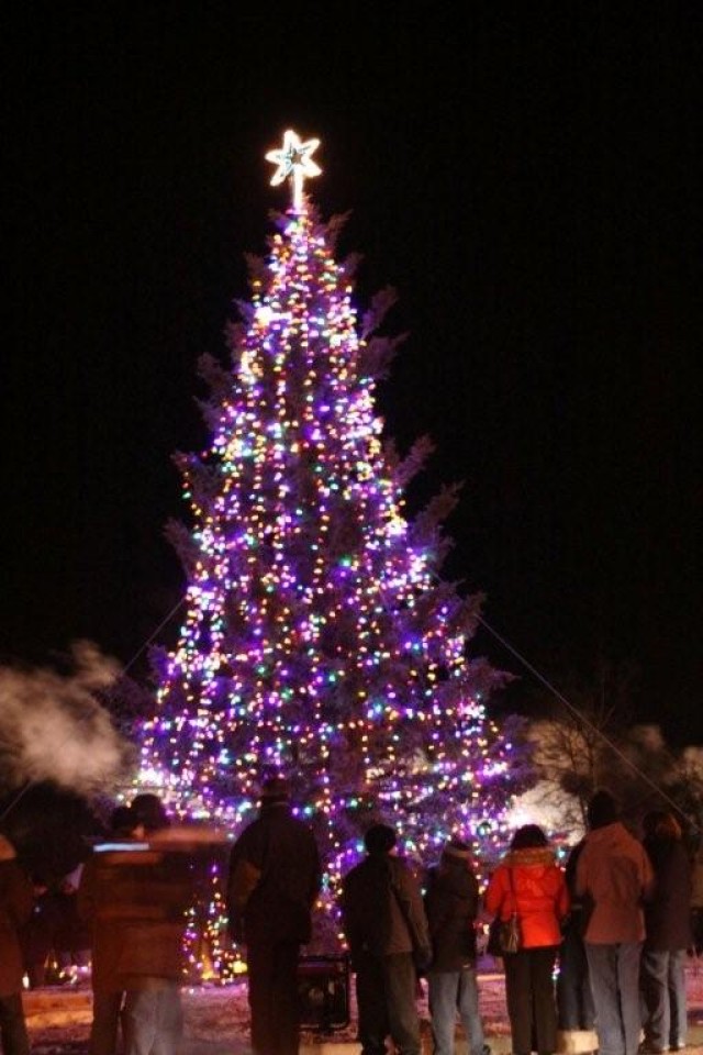 Enjoying the Christmas tree