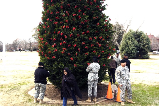 Soldiers&#039; Tree dedicated to those who gave all for freedom