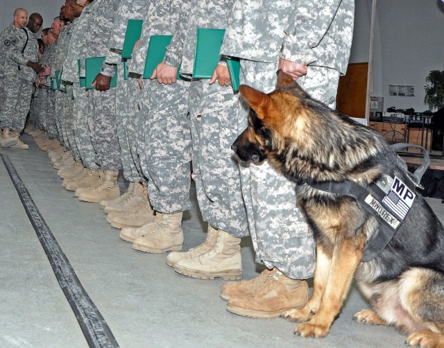 Sgt. 1st Class Rex, a patrol explosive detector dog for the 178th Military Police Detachment, waits with 32 other Soldiers to shake the hand of Command Sgt. Maj. Nathaniel Bartee, 15th Sustainment Brigade's senior noncommissioned officer, at a...