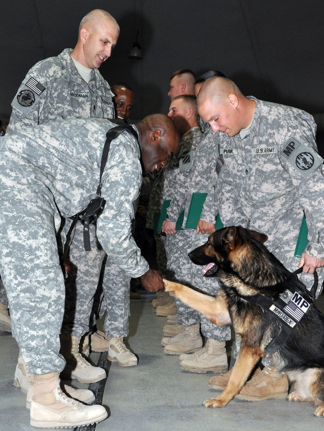 Command Sgt. Maj. Nathaniel Bartee, 15th Sustainment Brigade's senior noncommissioned officer, shakes the paw of Sgt. 1st Class Rex, a patrol explosive detector dog for the 178th Military Police Detachment, at a ceremony in which Rex was inducted...