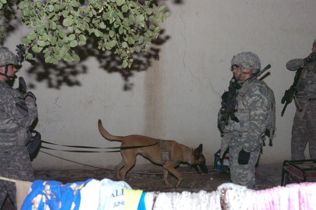 BAGHDAD - Gina, a military working dog, clears the outside of a school in Sadr City while Senior Airman Christopher Kench, her handler, receives further instruction from 1st Lt. Nicholas Ramos (right), during a night patrol, Dec. 16. Kench and...