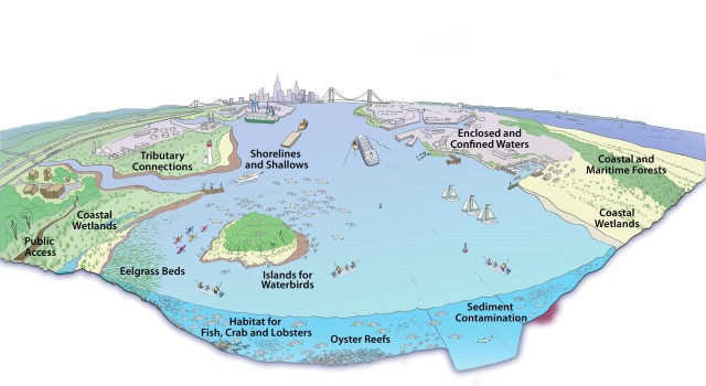 New York and New Jersey Harbor Estuary - Comprehensive Restoration Plan Graphic