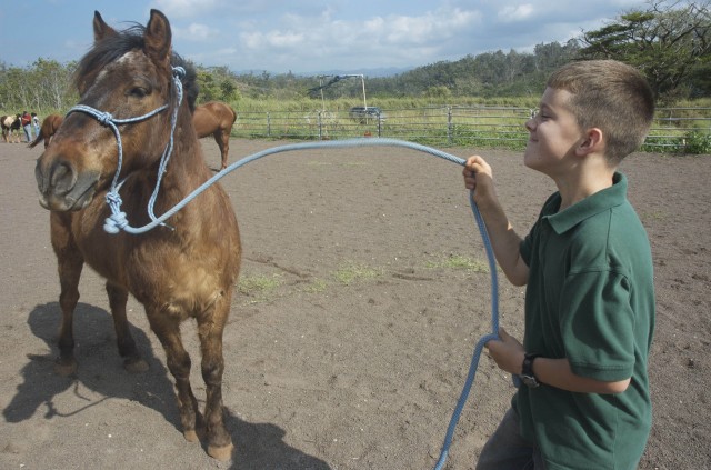 Wheeler Stables provides pastures, clinics for equestrians