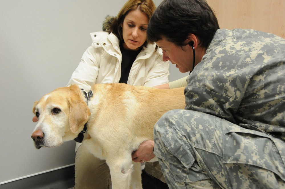 Pets get improved care options Article The United States Army