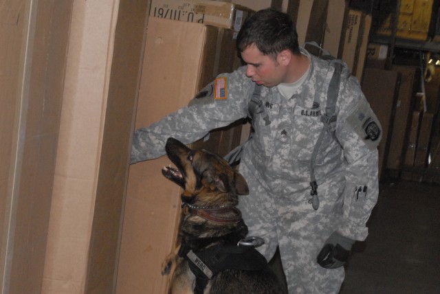 Dog training